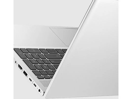 Notebook HP Probook 450 G10 , Pc portatile Intel i5 1334U , Display 15,6" Full HD , Ram 32 Gb , SSD 1000 Gb, Windows 11 Pro , Office pro, Laptop pronto all'uso
