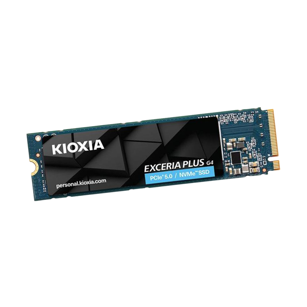 SSD Kioxia Exceria Plus G4 1TB NVMe M.2 PCIe 5.0 (Fino a 10.000 MB/s)